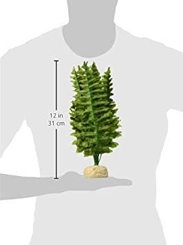 Exo Terra,Reptiles, Amphibians Boston Fern Terrarium Plant, Medium