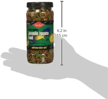 REPCAL JUVENLE IGUANA FOOD 7OZ