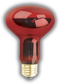 PET LIGHT BULB 100 WATTS R25 RED NIGHTLITE REPTILE LAMP SUPRA LIFE