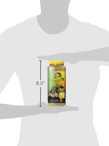ZML FOOD BOX TRTL 20OZ