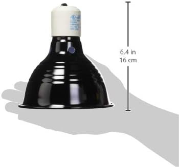 Fluker's Clamp Lamp, Heavy Duty, 75-Watt Maximum | On/Off Switch | 5.5" Diameter | Pack of 2 | UL/CUL Approved