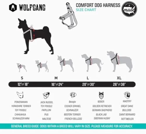 Wolfgang Heavy Duty Adjustable Dog Harness, Pull-Tested for Walking & Training, LazyDaisy Print, Small