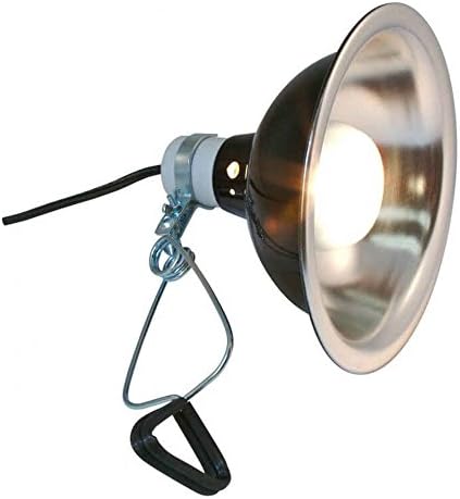DLX Porcelain Clamp Lamp (Blk UL Listed) 8.5
