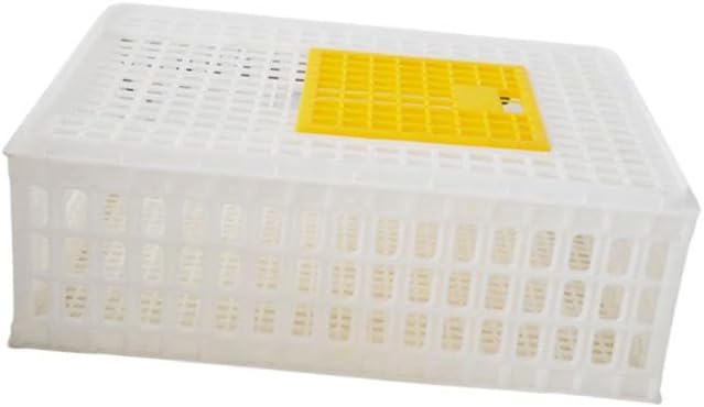 Poultry Crate for Transporting Birds, and Hamsters, White