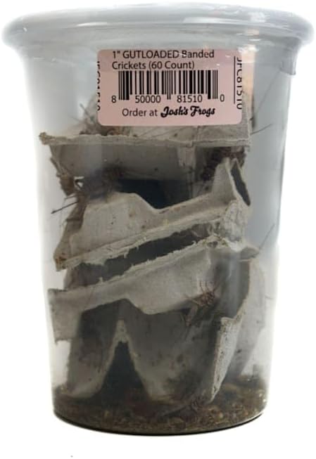 Josh's Frogs 1" GUTLOADED Banded Crickets (60 Count)