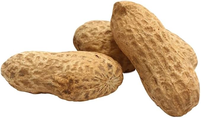 FM Browns Song Blend Unsalted in-Shell Whole Peanuts Bird Food, 10 lbs.