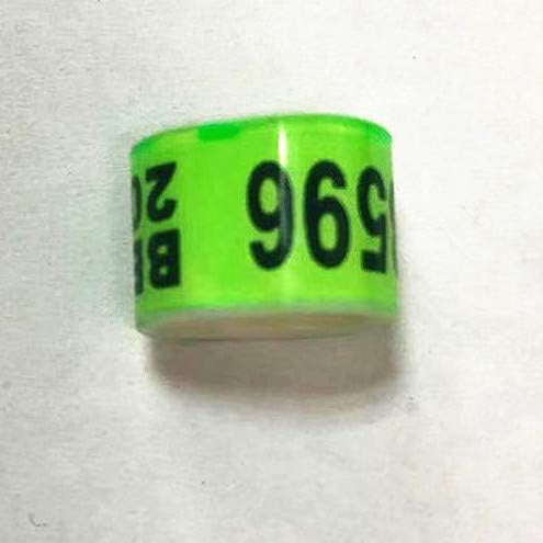 100 * 8mm Customized Racing Pigeon Club loft Band Ring Combination BELG Flag Racer (Green)