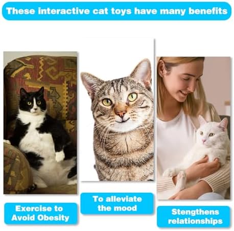 Retractable Cat Toy Wand 12 Packs Interactive Cat Feather Toys - Image 7