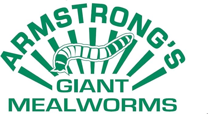 Armstrong's Original Crickets Giantmealworms (Large, 1000, Count)