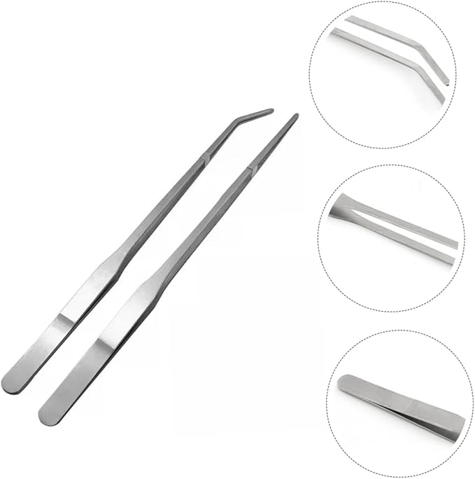 BESPORTBLE 2pcs Pet Feeding Tweezers Straight Curved Tips for Reptile Care for Safe Feeding of Lizards Snakes and More Terrarium Environments