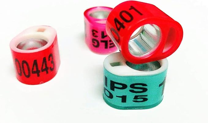 100 8mm Customized Racing Pigeon Club loft Band Ring Combination BELG Flag Racer (red)