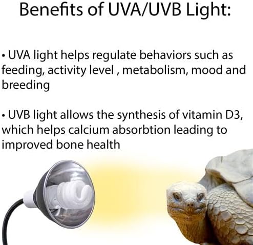 Exotic Nutrition UVB Bulb - Bulb Only