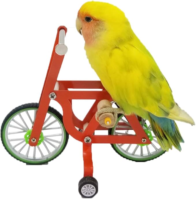 QBLEEV Bird Intelligence Training Toy - Parrot Puzzle Bicycle for Small & Medium Birds - Educational Table Top Trick Prop & Foot Talon Toy for African Grey, Cockatoo & Conures