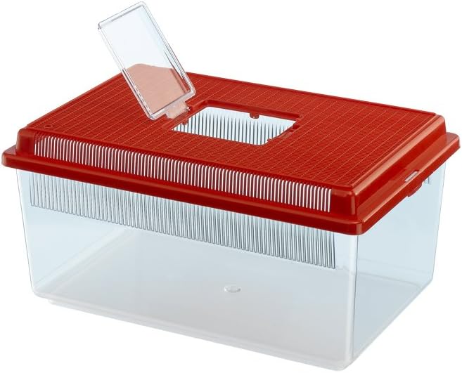 GEO FLAT SMALL Container for small animals, fishes, turtles and insects