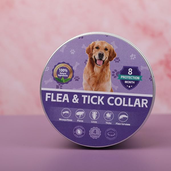 4 Pack Flea Collar for Dogs, 25 inch Adjustable Flea & Tick Prevention Collars with Comb for Small Medium and Large Dog, Waterproof Flea Control Collar Safe for All Breeds, Purple