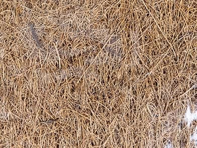 Josh's Frogs Coco Mat- Substrate or Terrarium Background (12"x12")