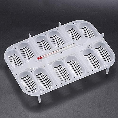Reptile Breeding Box,16.5x11x5.2cm Reptile Hatchery Box Reptile Incubation Box with Transparent Cover and Temperature Measuring for Hatching Reptiles Lizards, Snakes