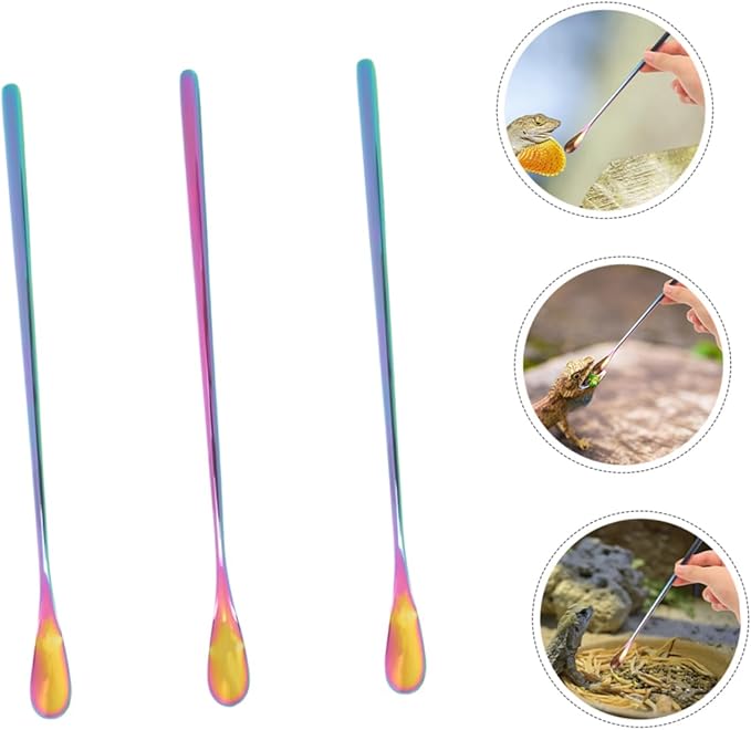 POPETPOP 3pcs Leopard Gecko Food Scoop Reptile Spoons for Wet Food Feeding Tool