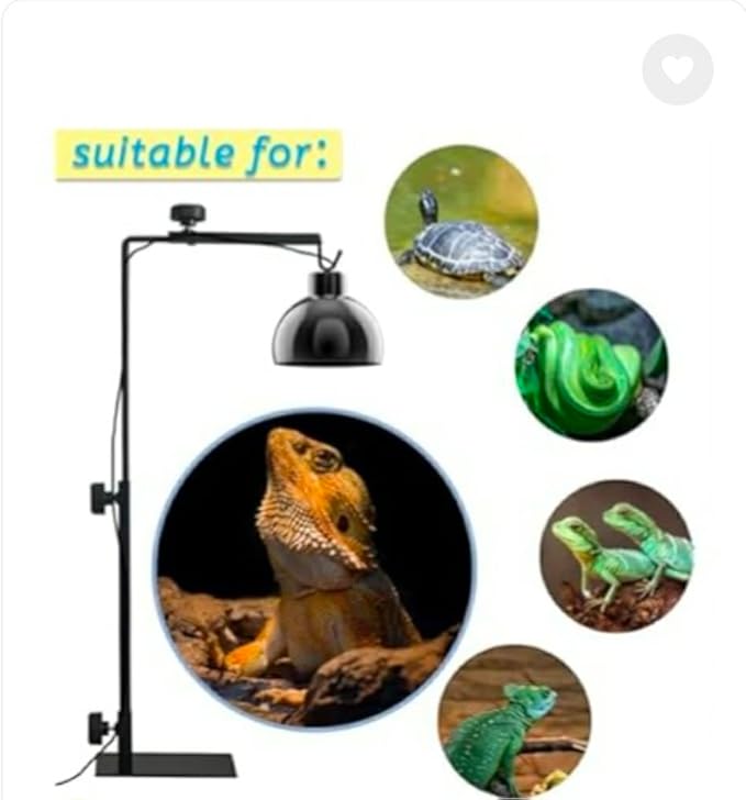 Reptile