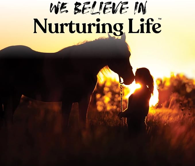 Manna Pro Bite-Size Nuggets for Horses – Horse Training Treats – Butterscotch Flavored Treats for Horses – 4 pounds (Pack of 2)