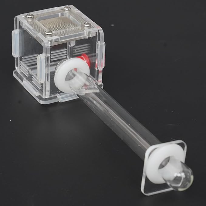 2x2x2 Inch 15mm Acrylic Transparent Ant Nest - Mini Ant Farm, Small Colony Observation
