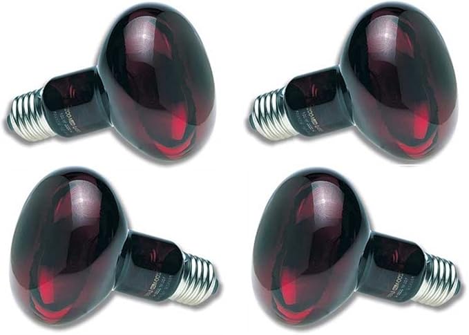 Zoo Med Nocturnal Infrared Incandescent Heat Lamp 100 Watts (4 Pack)