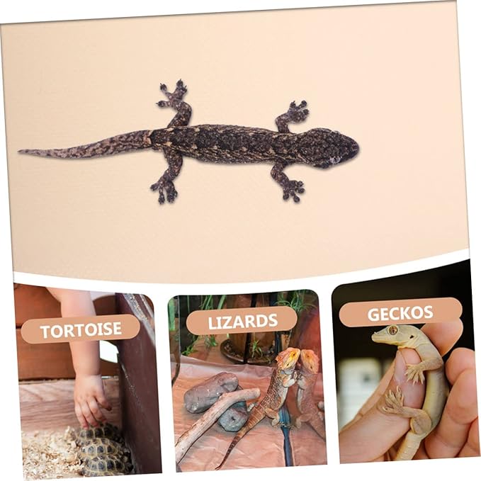 Reptile Carpet Liner Bedding Mat for Bearded Dragon and Leopard Gecko Eva Substrate Terrarium Accessories Easy to Clean Comfortable for Various Reptiles
