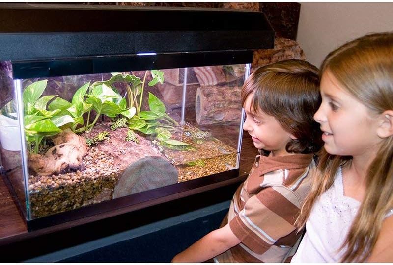 T-Rex Reptile Terrarium Decor - Log Landing - 20 Gallon Basking Area