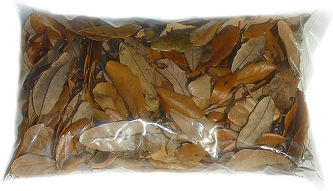 XYZReptiles Premium Live Oak Leaf Litter Isopod Substrate Terrarium Bedding (1/2 Gallon)