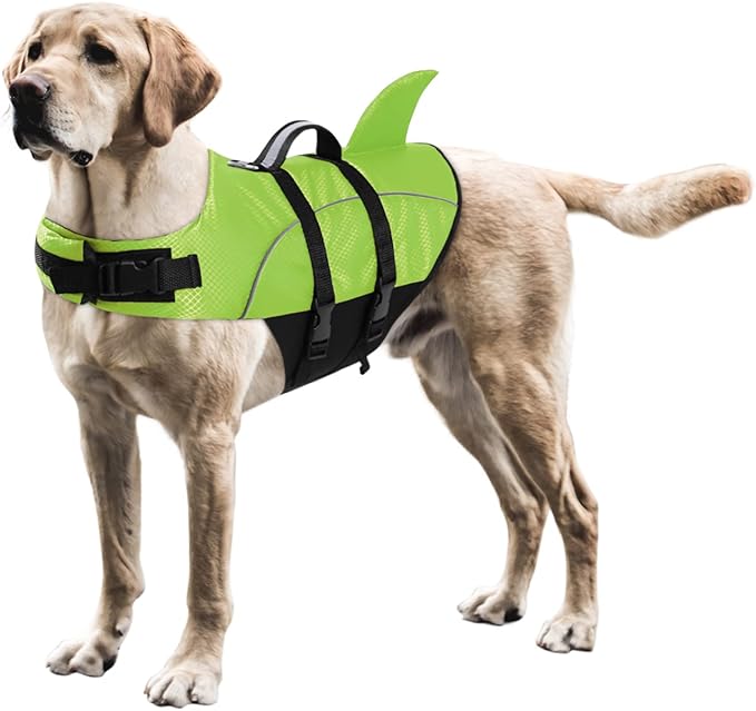 Queenmore Ripstop Dog Life Jacket Shark Life Vest for Dogs, Safety Lifesaver with High Buoyancy and Lift Handle for Small and Medium Breeds(Green XS)