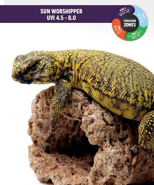 Reptile Systems T5 Ferguson Zone 4 Lamp – 36in, 39W – High Output Lighting for Reptiles, Crested Geckos, Chameleons, Leopard Geckos – Ideal for Vivariums and Tanks