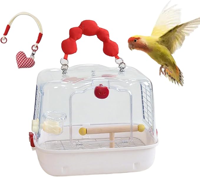 Genérico Bird Carrier: Transparent Avian Transport Backpack, Breathable Visualization Transport, Lightweight Mobility Equipment | Small Bird Tours Walks Travel