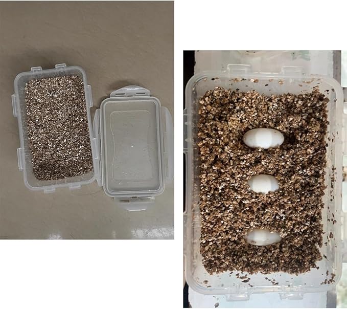 Flushbay Reptile Feeding Box Turtle Transport Breeding Box Egg Incubator Container with 1.1lb Reptile Substrate Vermiculite Bedding for Snake Tortoise Lizard Hatching Eggs
