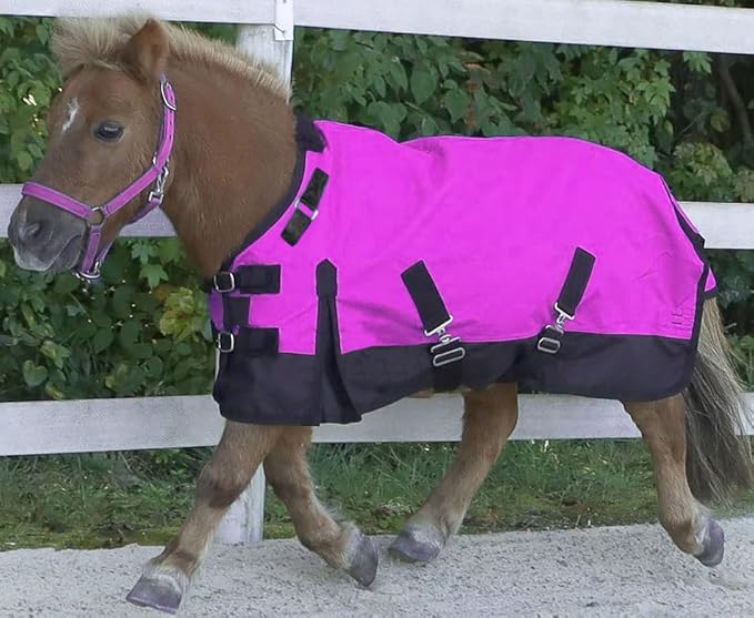 Mini/Pony 1200 Denier Adjustable Neck Waterproof Turnout Blanket - 300 Grams Fill