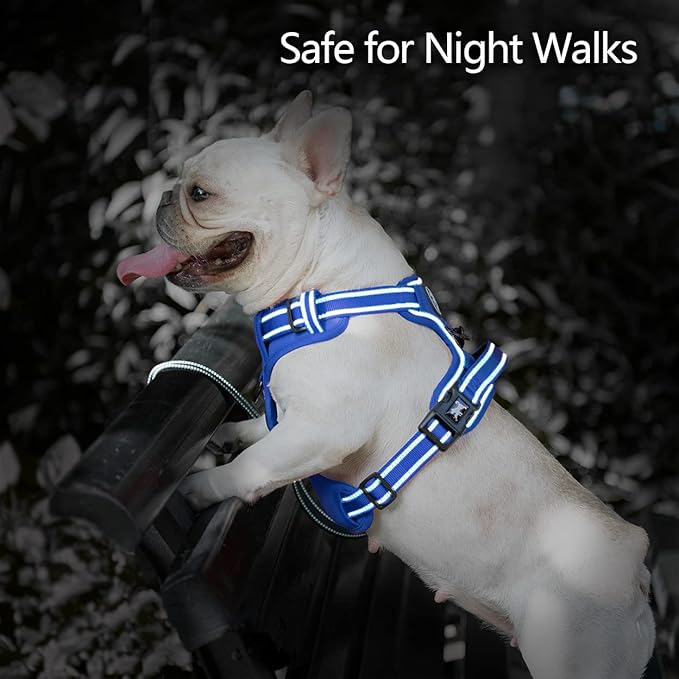 PoyPet No Pull Dog Harness, No Choke Reflective Dog Vest, Adjustable Pet Harnesses with Easy Control Padded Handle for Small Medium Large Dogs(Royal Blue,XS)