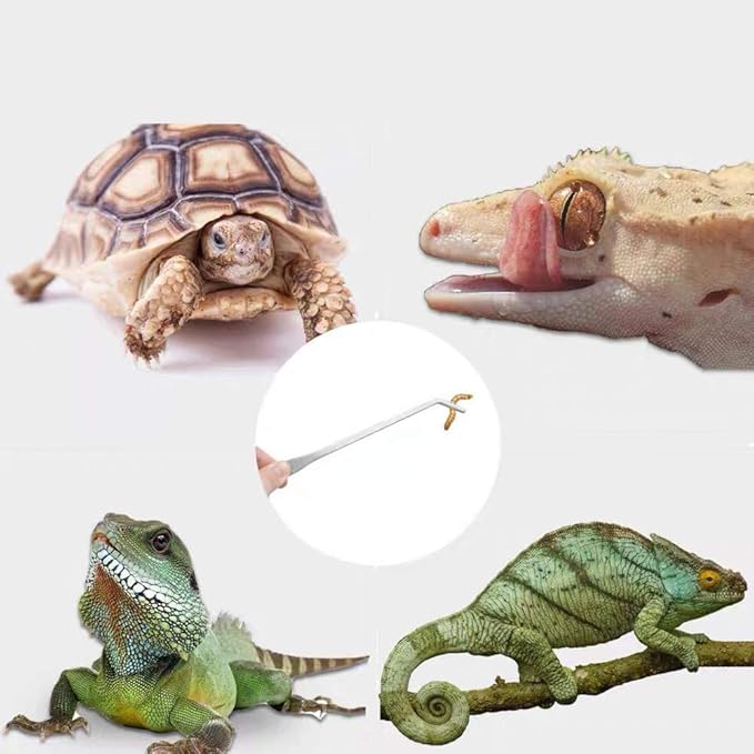 10.6 inch Reptile Feeding Tongs, 3 Pcs Tweezers Cricket Clamp Bug Scooper, Stainless Steel Straight and Curved Tweezers Set for Insects Lizard Turtle Snake Spider Frog Gecko Chameleon