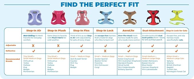 Best Pet Supplies Voyager Adjustable Step-in Flex Breathable Mesh Dog Harness for Small Medium Large Dogs Leash Set (Baby Blue), XL