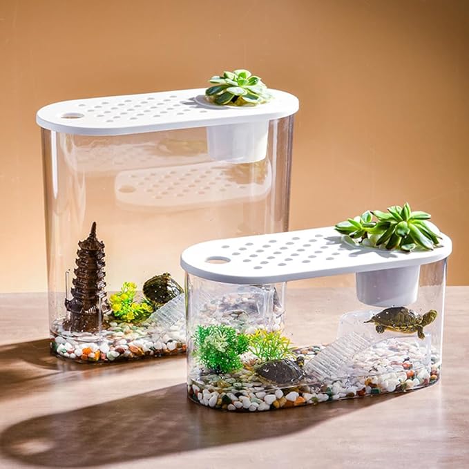 Small Turtle Tank with Basking Platform, Decor Stones and Water Grass, Aquarium Habitat with Plant Holder