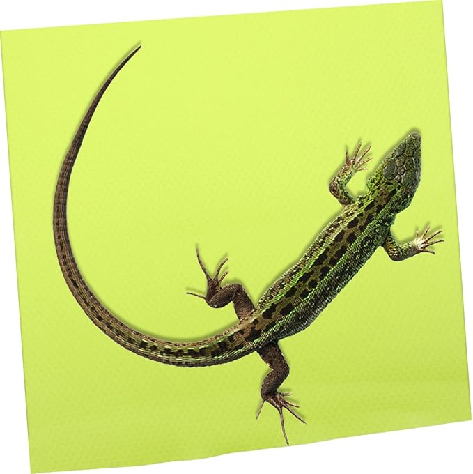 Sosoport Crawling Carpet Reptile Hammock Snake Tank Mat Bearded Dragon Gecko Accessories