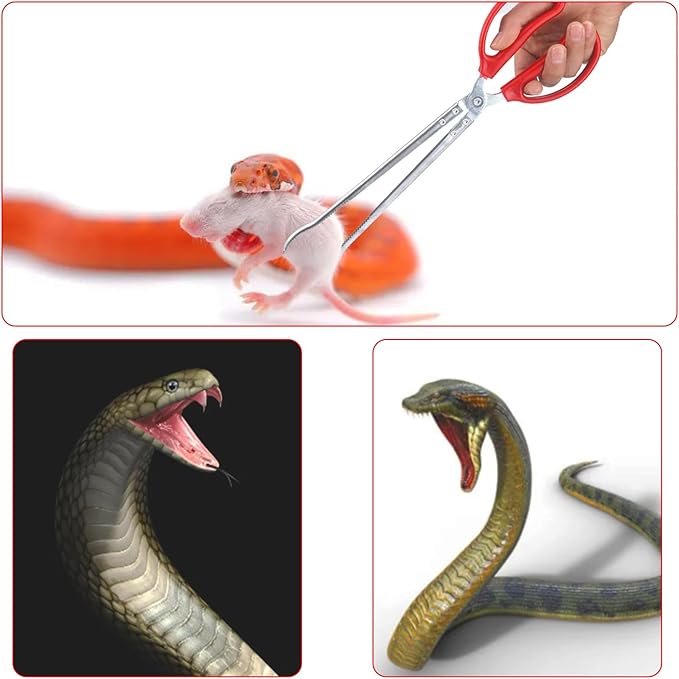 15 Inch Reptile Feeding Tongs, Extra Long Large Snake Feeding Tweezers, Curved or Straight Design Heavy Duty Stainless Steel Feeding Tongs for Ball Python Accessories Aquascape Maintenance (Curved)