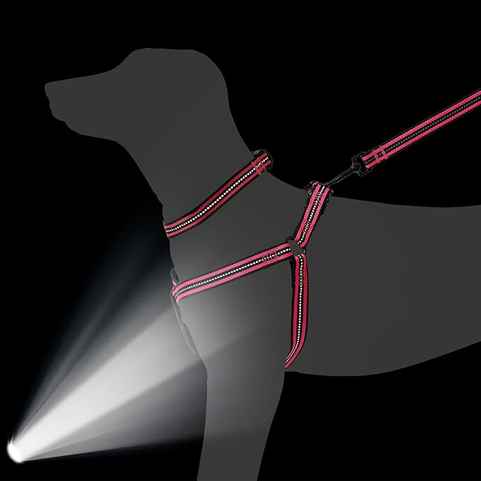 Mile High Life Night Reflective Double Adjustable Band Nylon Small Puppy Pet Dog Combo Collar Leash and Harness Set (Reflective Stripe Pink, Small (Pack of 3))