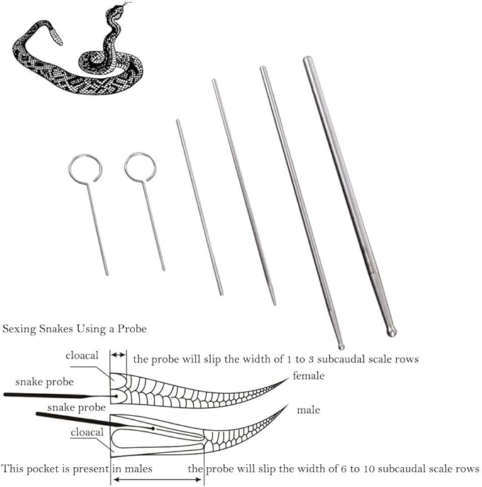 OMEM 5 Pack Reptiles Snake Sex Probe Portable Probe Kit