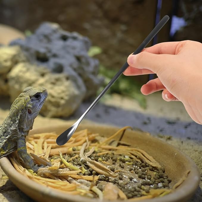 balacoo 3pcs Reptile Food Spoon Handle Feeding Tool for Lizards and Small for Easy Use and Portability for Tortoise and Gecko Care