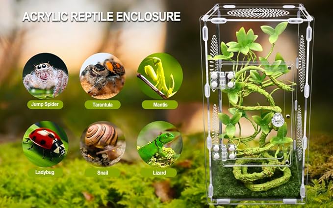 Large Jumping Spider Enclosure, Tarantula Enclosure with Front Opening Door, Spider Enclosure for mantises, Lizards, Frogs and Insects. (6x6x12 Inch, Assemble)