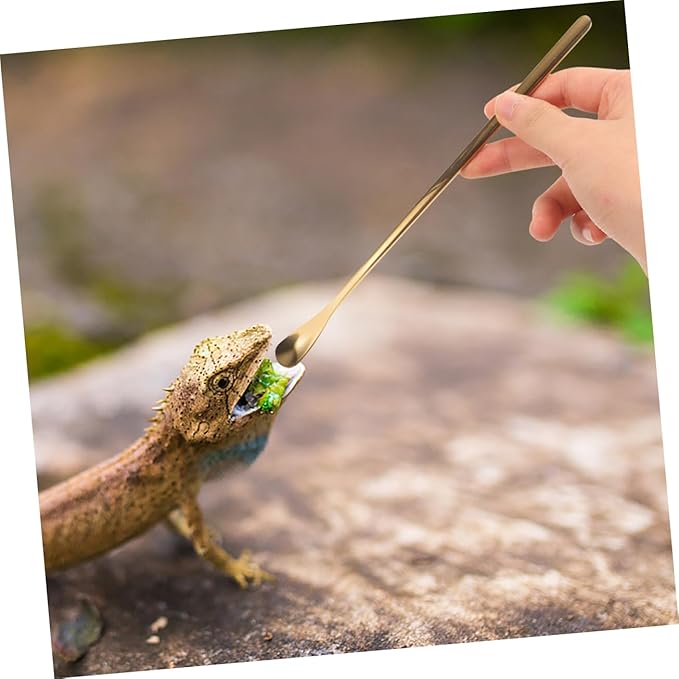 Reusable Reptile Spoon Pet Food Scoop Lizard Food Feeding Tool Stainless Steel Reptile Feeding Spoons Set