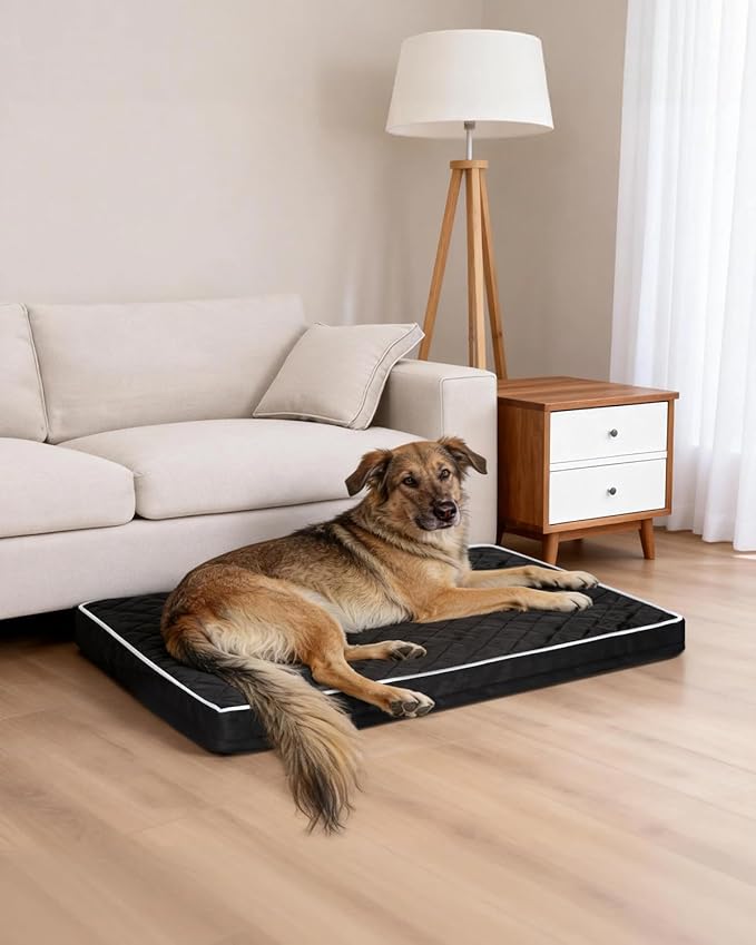 NUPIDA Orthopedic XL Dog Beds Large Sized Dog Waterproof Pet Kennel Pad with Removable Washable Cover and Non-Slip Bottom, 41x27 Inch, Black