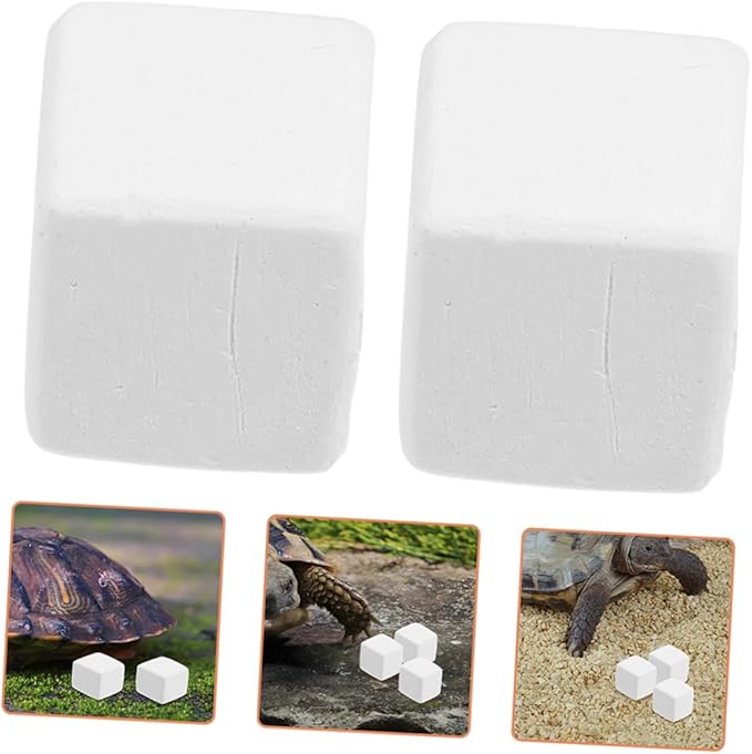 SUPVOX 12Pcs Natural Pet for Reptile Habitats Safe for Crabs Supports Health Digestion Reptile Accessories
