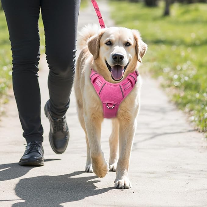BARKBAY No Pull Dog Harness Large Reflective Dog Harness with Front Clip and Easy Control Handle for Walking Training Running with ID tag Pocket(Pink,M)