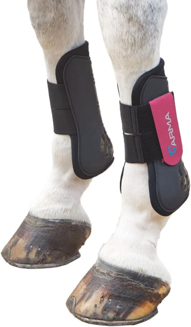 Shires ARMA Tendon Boot