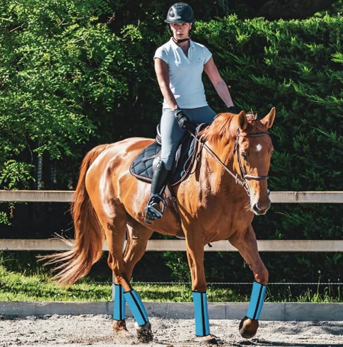 Fly Boots for Horses Set of 4 Breathable Textilene Mesh Horse Fly Boots with Stable Support & UV Protection, Comfortable Equine Boots, Reduces Stomping, Leg Fatigue & Hoof Damage.(Blue)